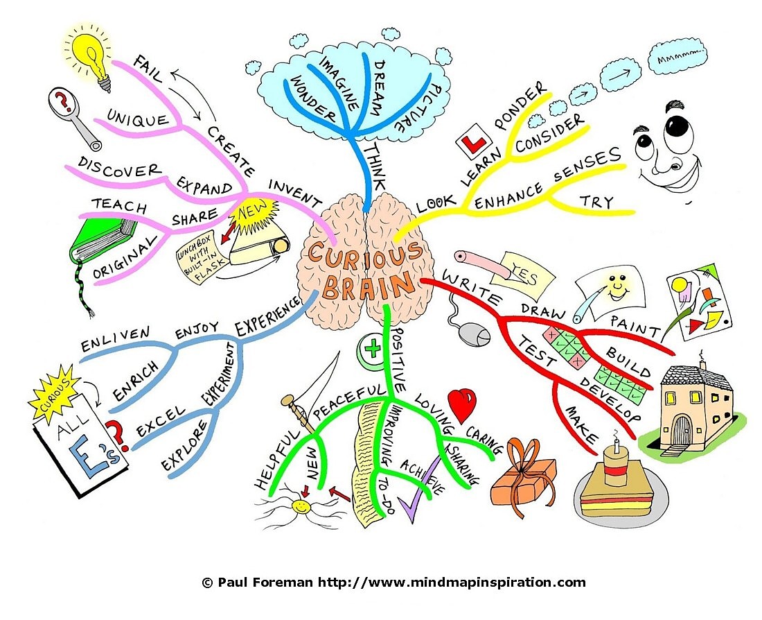 the brain map